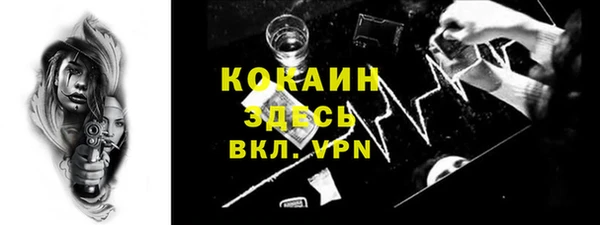PSILOCYBIN Аркадак
