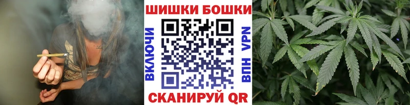 где можно купить Темников Шишки марихуана план